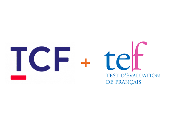 obtenir un certificat TCF/TEF aux Comores