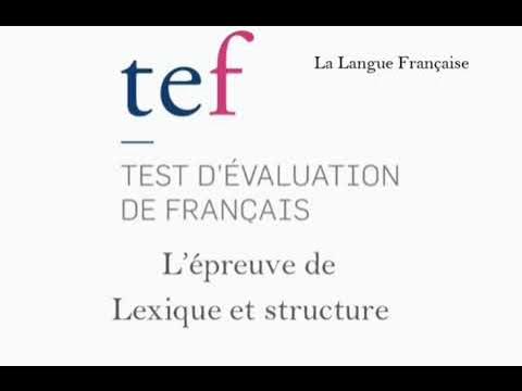 Test de vocabulaire et de la syntaxe du TEF.