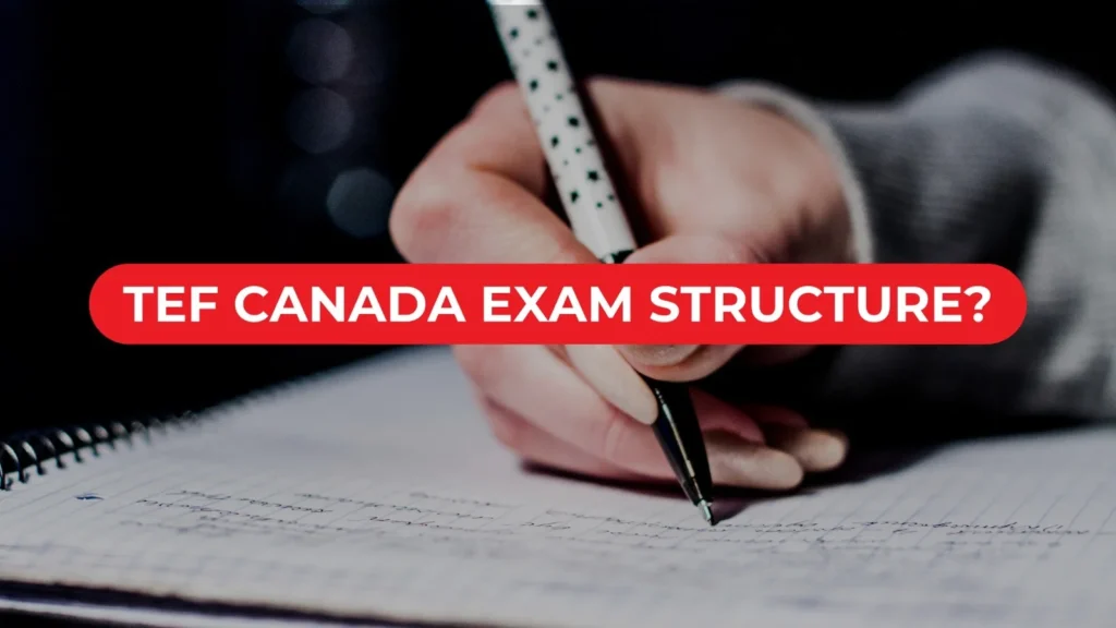 Understanding the TEF Canada exam